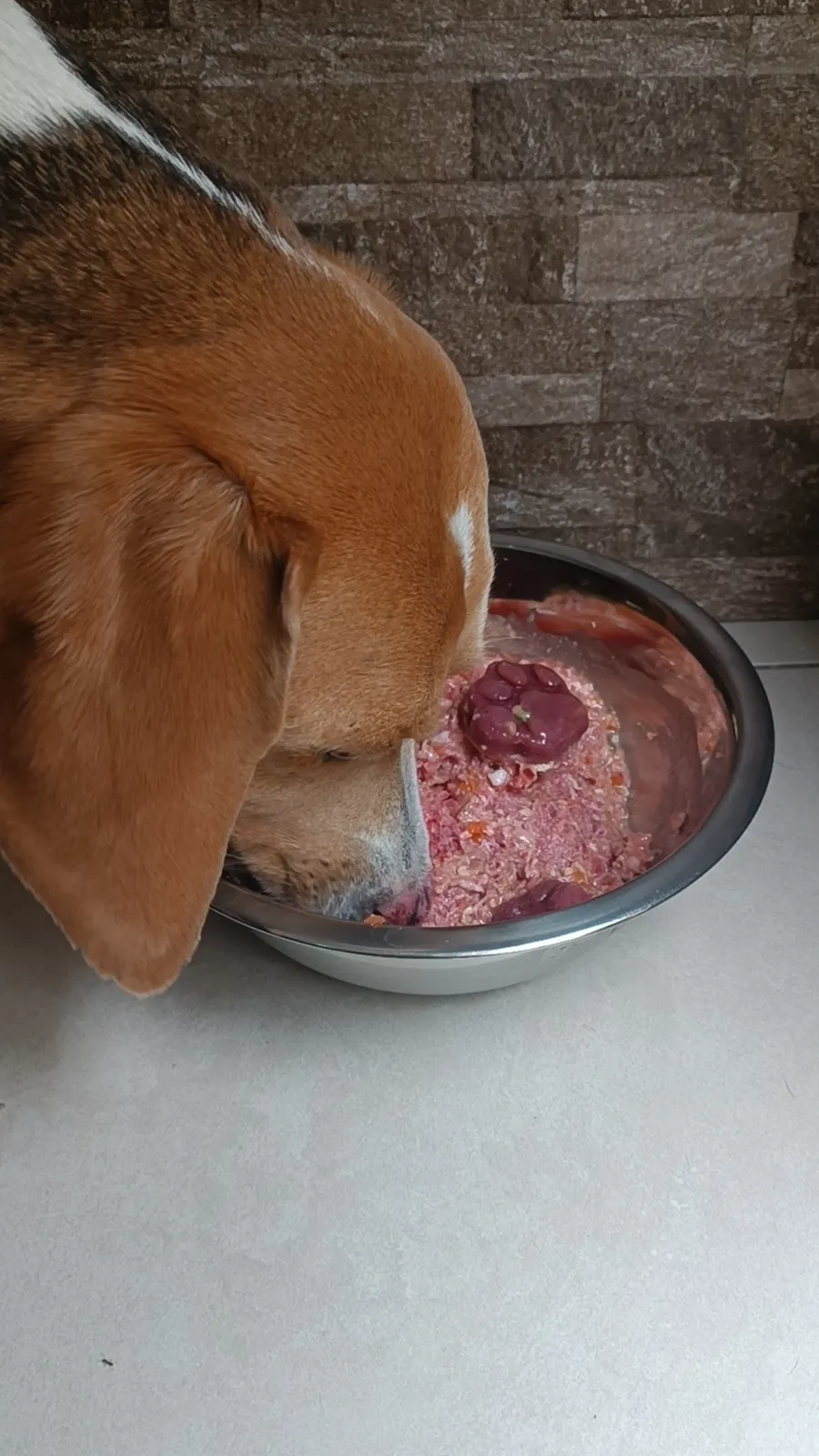 Comida natural BARF para Husky Siberiano en Quito