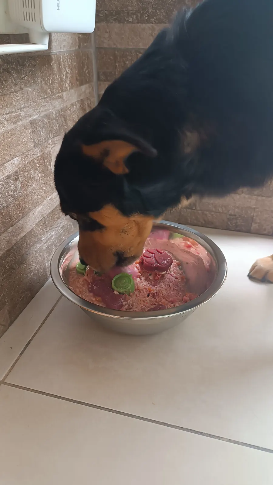 Comida natural BARF de CRUBO a domicilio en Quito