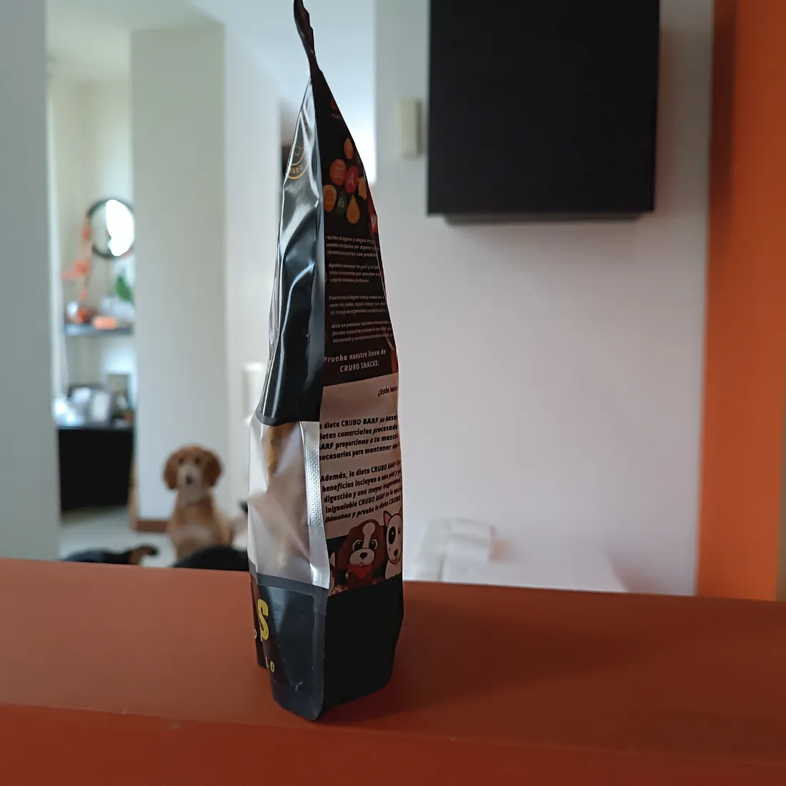 Por qué tu perro se enferma al cambiar de comida (y el método que sí funciona)
