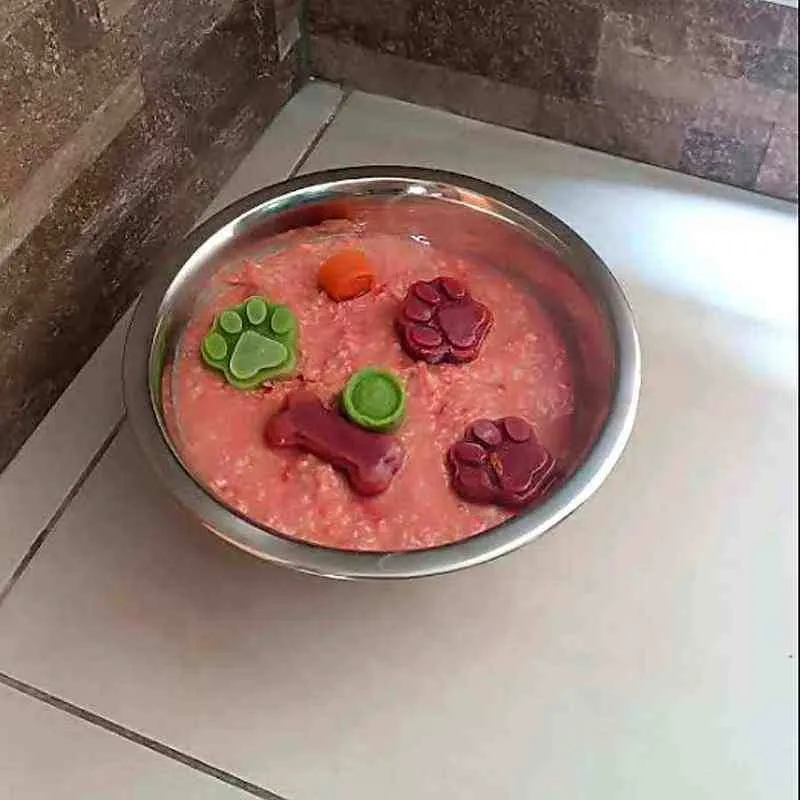 Cómo cambiar a comida natural sin diarreas