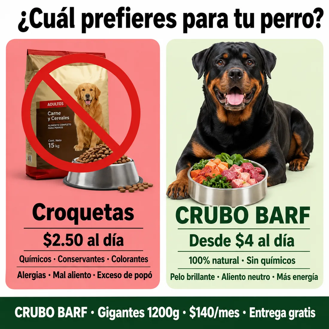 ¿Cuánto debe comer un Labrador?